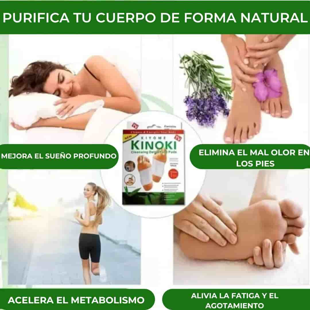 El texto del párrafo (15) (2)