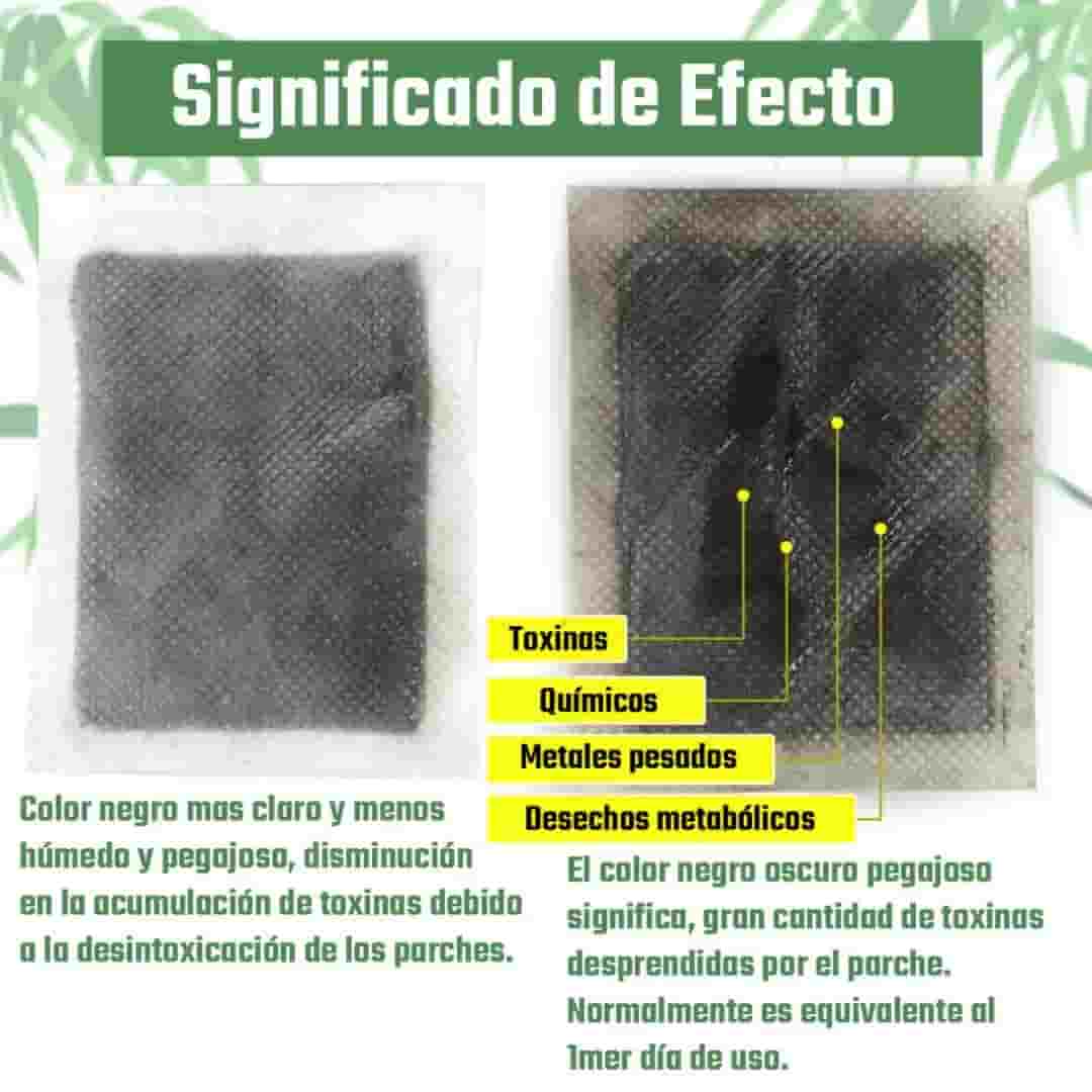 El texto del párrafo (7) (1)